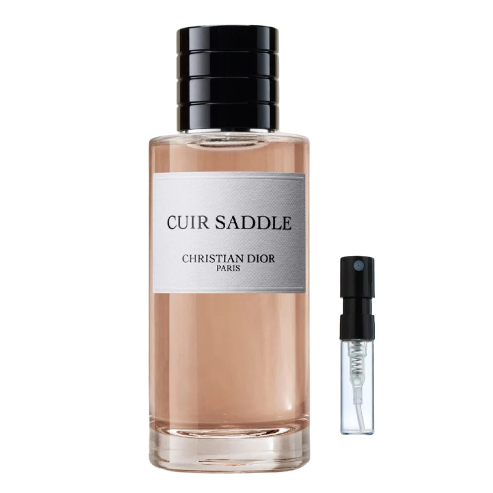 Cuir Saddle Dior