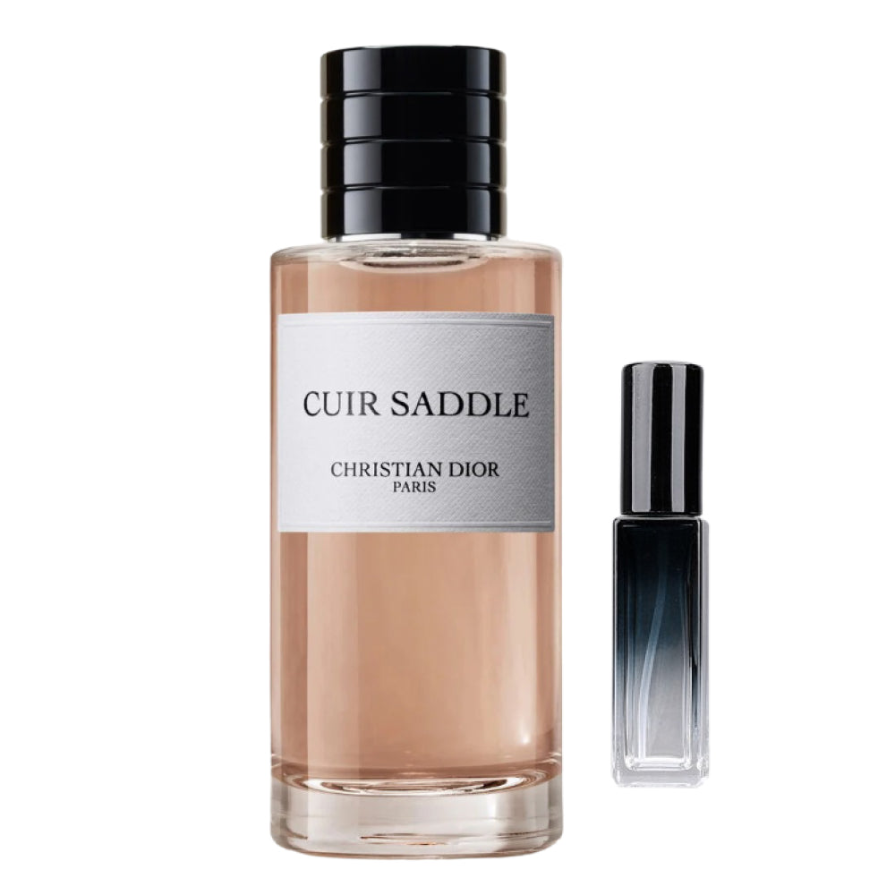 Cuir Saddle Dior