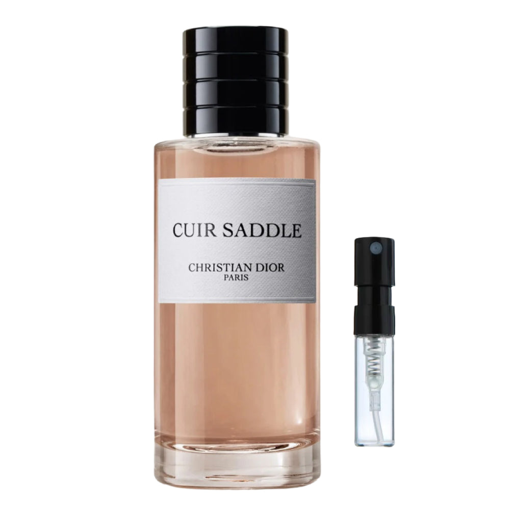 Cuir Saddle Dior