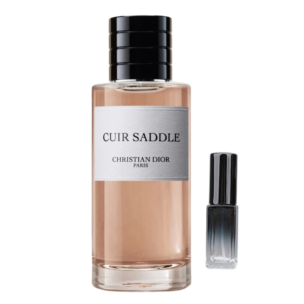 Cuir Saddle Dior