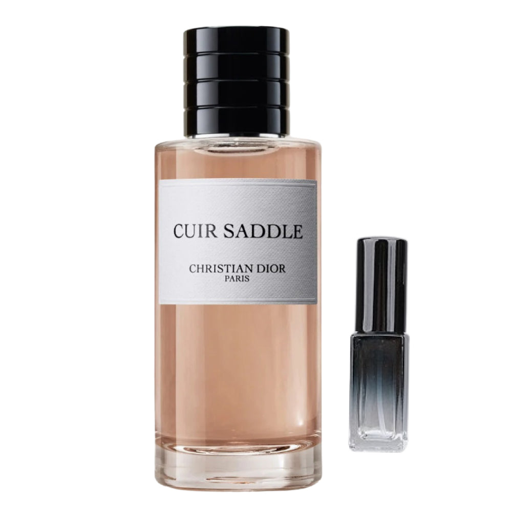 Cuir Saddle Dior