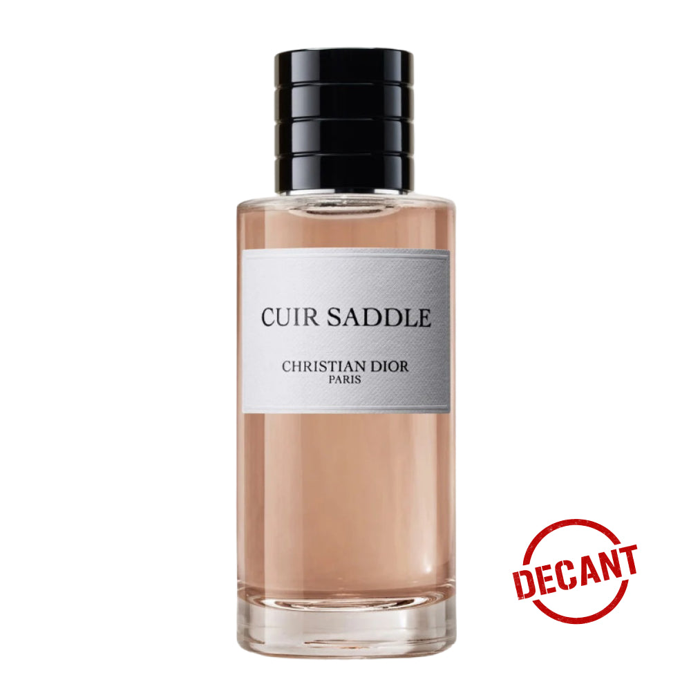 Cuir Saddle Dior